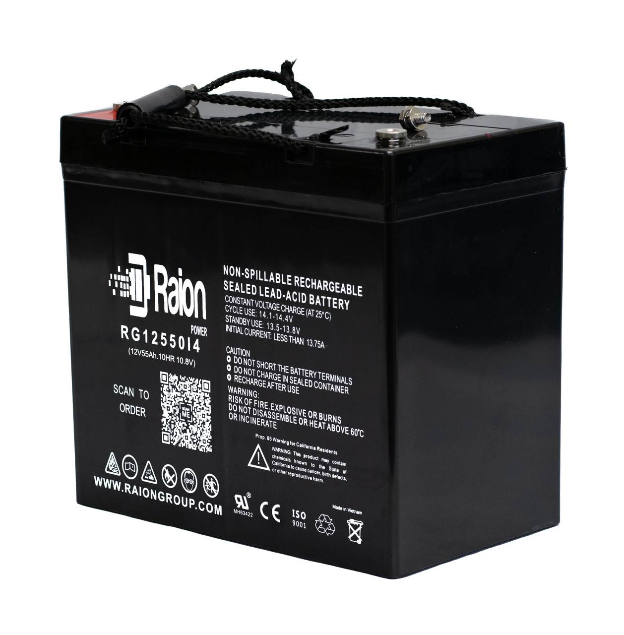 Raion Power Replacement 12V 55Ah Battery for Tempest TR60-12 - 1 Pack