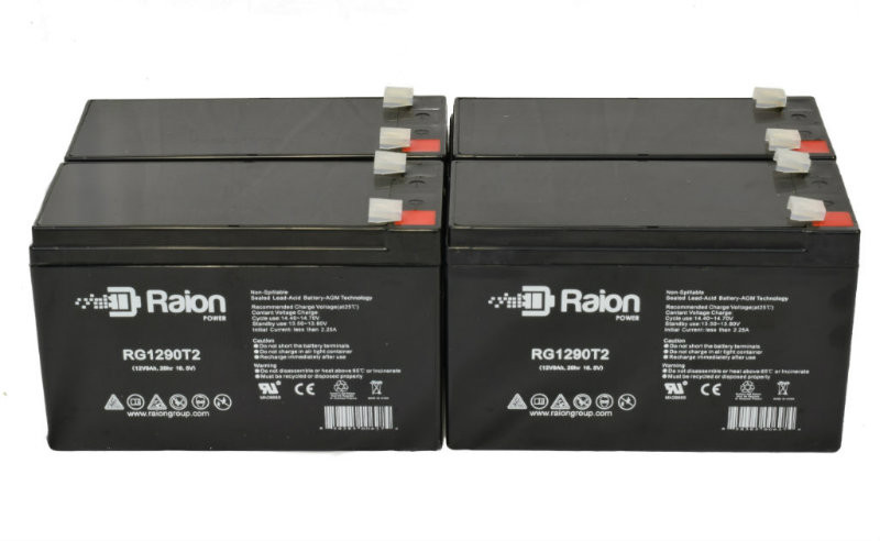 Raion Power Replacement 12V 9Ah Battery for Drypower 12SB9P-F2 - 4 Pack