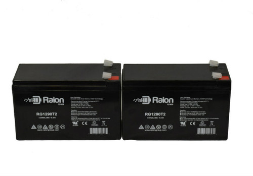 Raion Power Replacement RG1290T2 Alarm Security System Battery for Potter Electric PFC-5008 - 2 Pack