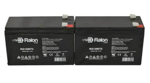 Raion Power Replacement 12V 9Ah Tennis Ball Machine Battery for Tennis Tutor Portable - 2 Pack