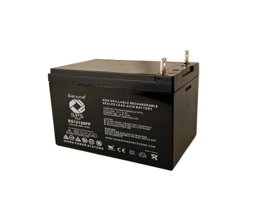 Raion Power RG12120PP Replacement Battery for NEATA NT12-12 NB