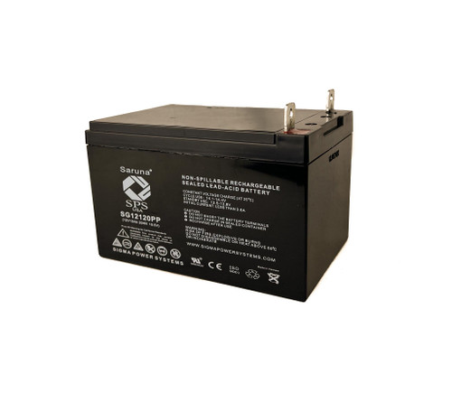 Raion Power RG12120PP Replacement Battery for Diehard LP12-12
