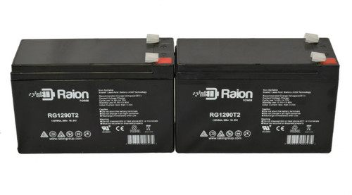 Raion Power Replacement 12V 9Ah Battery for Flying Power NS12-9 - 2 Pack