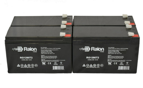 Raion Power Replacement 12V 9Ah Battery for Kung Long WP1236W - 4 Pack