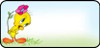 Tweety Bird