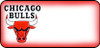 Chicago Bulls Logo