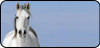 White Horse