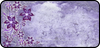 Star Flowers Purple