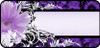 Daisy Banner Purple