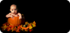 Little Pumpkin