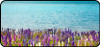 Flowers Edge