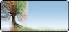 Four Seasons
