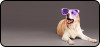 Love My Sunglasses