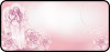 Rose Angel Pink