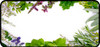 Herbs Border