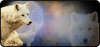 (NEW)White Wolf Retro T