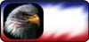 Eagle Flag Face