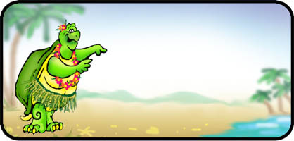 Hula Turtle