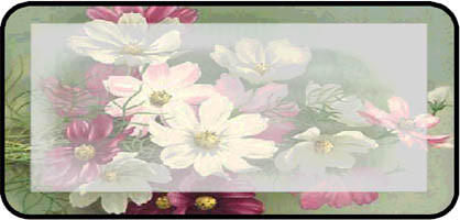 Cosmos