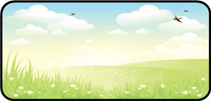 Meadow Mist