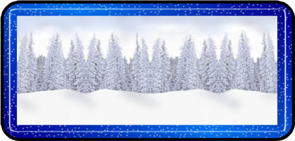Winterlude