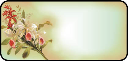 Orchid