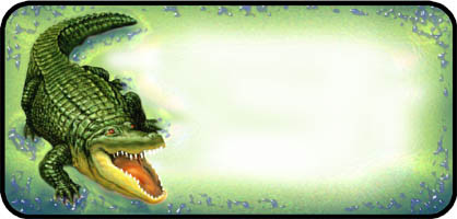 Gator
