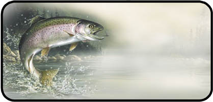 Rainbow Trout