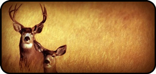 Oh Deer