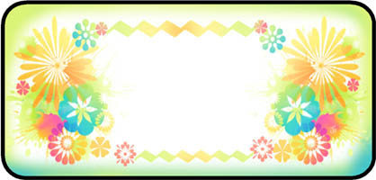 Vibrant Colors