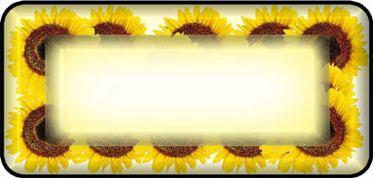 Sun Flower Border
