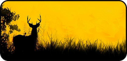 Hunters Dream Yellow