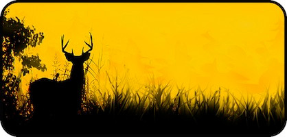 Hunters Dream Yellow