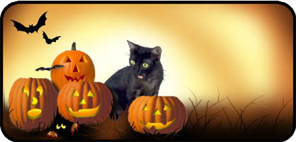Fraidy Cat