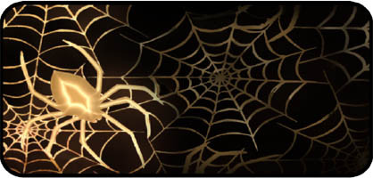 Spider Web