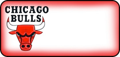 Chicago Bulls Logo