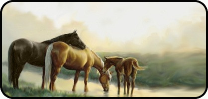 Water Hole