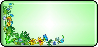 Wild Flower
