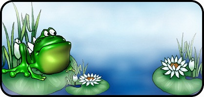 Bull Frog