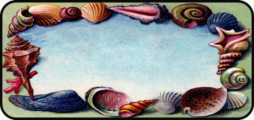Vintage Seashell Border