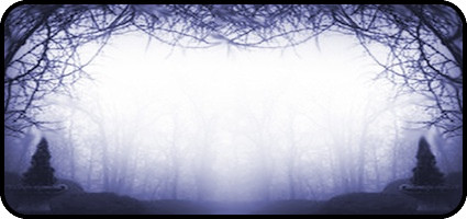 Foggy Garden