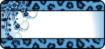 Meeeow Blue