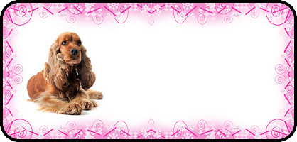 Pink Swirl Cocker Spaniel