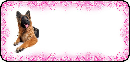 Pink Swirl German Shepherd