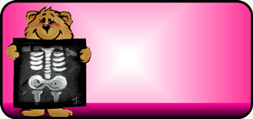 X Ray Bear Pink