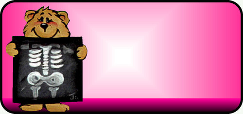 X Ray Bear Pink