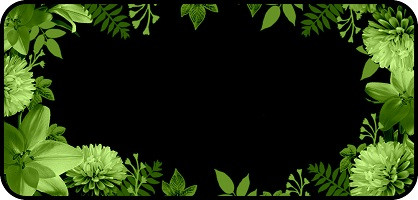 Black & Green Floral