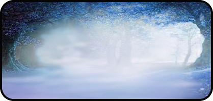 Forest Deep Blue