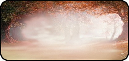 Forest Deep Orange