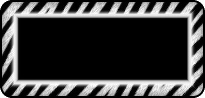 Zebra Black